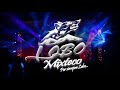 Lobo mixteco  la  cumbia del superior live 2020