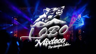 LOBO MIXTECO - LA  CUMBIA DEL SUPERIOR (LIVE 2020) chords