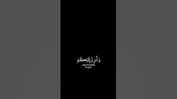 القارئ : عبدالرحمن مسعد .سـورة : العنكبوت ، الآية ٤٦