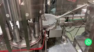 BFS Rotary Capping Machine