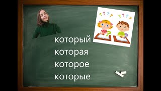 Всё про КОТОРЫЙ, КОТОРАЯ, КОТОРОЕ, КОТОРЫЕ в русском языке