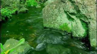 ŞİFALI SESLER 1 SAAT LÜTFEN KULAKLIKLA DİNLEYİNİZ STRES PANIK ATAK DEPRESYON