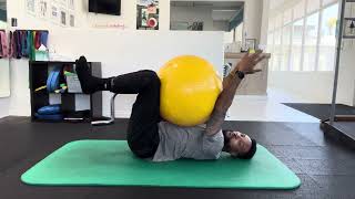 Swiss Ball Dead Bug Isometric Hold