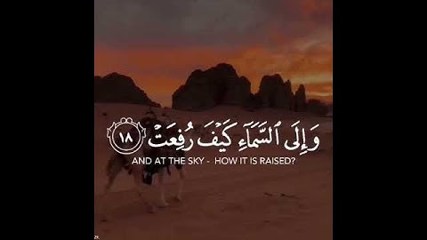 تلاوة ندية للقارئ عبدالرحمن مسعد ❤||سورة الغاشية