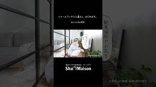 シャーメゾン×内見 #積水ハウスの賃貸住宅 #シャーメゾン #お部屋探し #内見  #お部屋紹介 #ルームツアー #賃貸 #二人暮らし