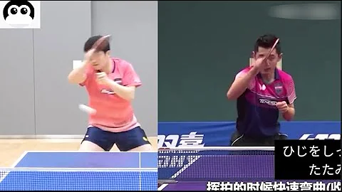 Comparison of Fan Zhendong and Zhang Jike's Forehand and Backhand Loops Against Topspin and Backspin