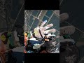 #skydiving #skysurfer #airdrop #skysurf #epic #skydiver #stuntman #sponserthis#awsome#cameraman