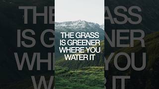 The grass is greener where you water it.