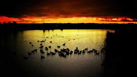 ٢٣-سورة (المؤمنون) الشيخ فواز الكعبي