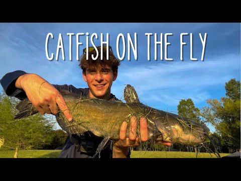 My worst day of fishing turns out good - Fly Fishing For Catfish