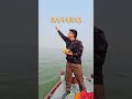 Guide for Boating at Varanasi Ghats #shorts #varanasi #kashi