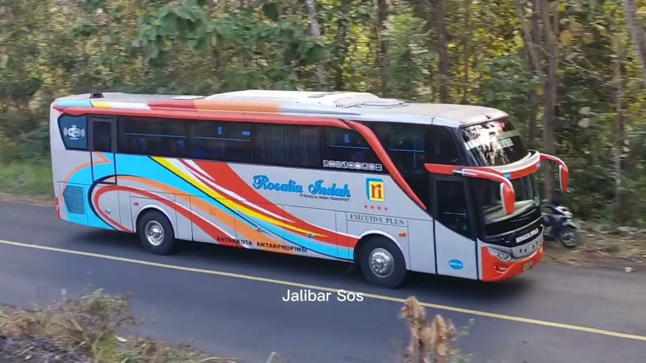 Bus Rosalia Indah YouTube