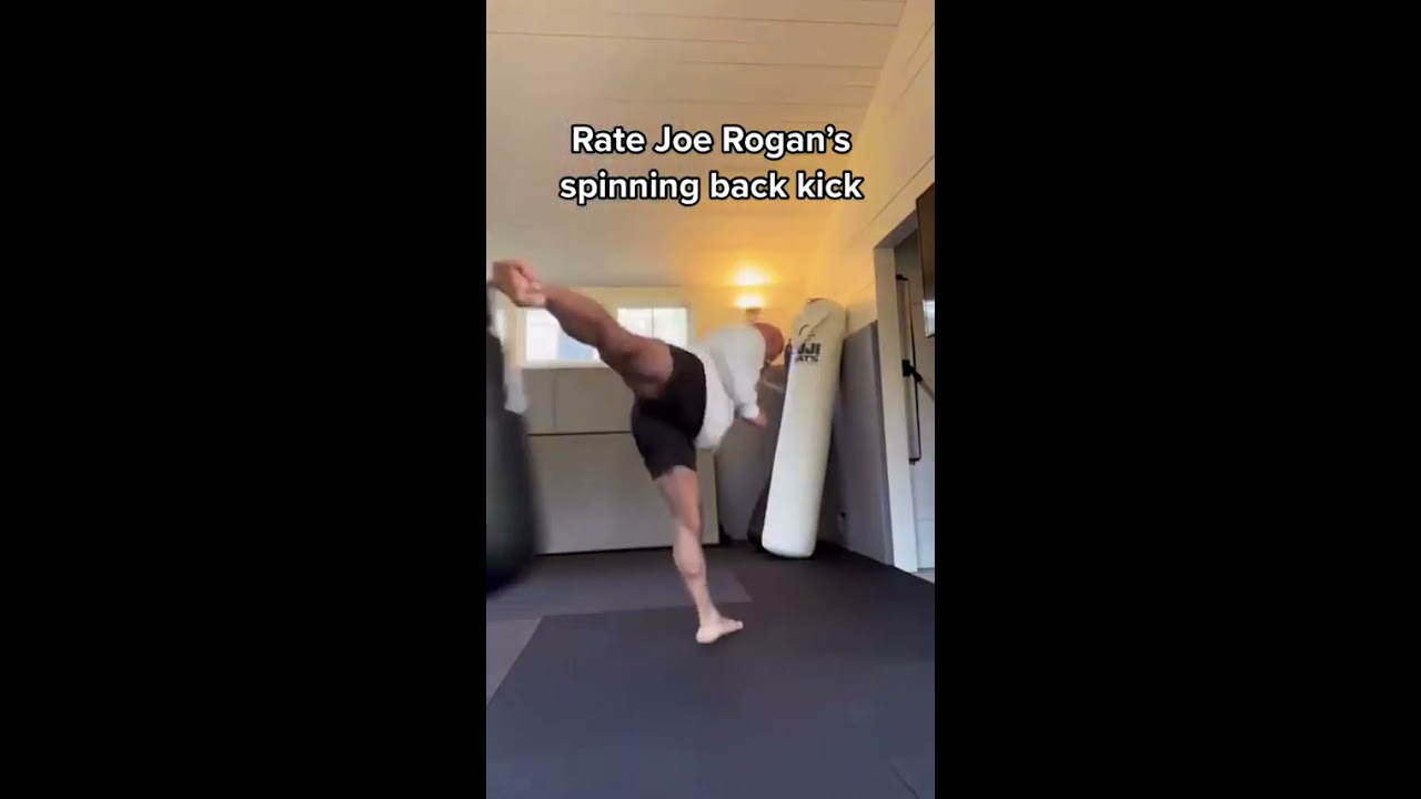 Rogan S Spinning Back Kick 