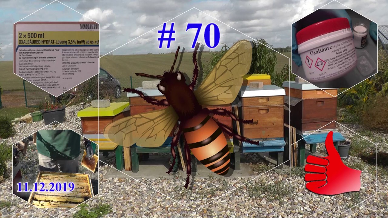Oxalsäurelösung 3,5% selbst herstellen BeeDad Imkerei Bienen 2019 #70 - YouTube