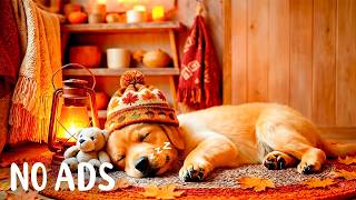 Dog Calming Music for Dogs 🐶🍂 Anti Separation Anxiety Relief 🍂 Deep Sleep 💖 No Ads screenshot 5