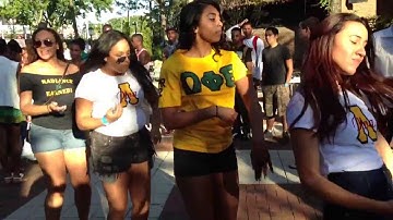 Omega Phi Beta - Lambda Pi Upsilon Unity Stroll