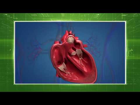 Видео: Болезни сердца у женщин: раннее предупреждение, симптомы, причины, лечение