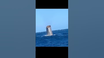 Super Heavy Ocean Splashdown