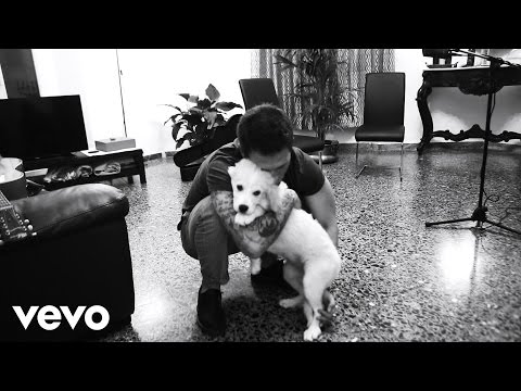 Gli Ultimi Sopravvissuti Video