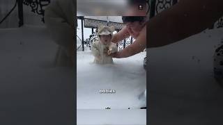 Babies Sleeping in the Snow 😲 #BabiesInTheSnow #OutdoorBabies
