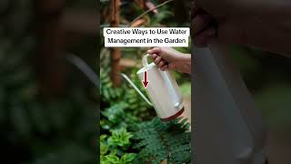 Creative Ways to Use Water Management in the Garden