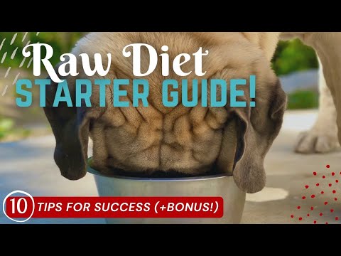 Small Dog Raw Feeding Guide - Perfectly Rawsome