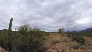 Calm Cloudy Day Time-lapse