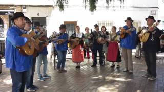JOYANCO - encuentro Rondas Arenas 2016