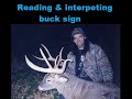 READING & INTERPRETING BUCK SIGN