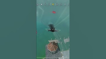 #shorts He Messed With Wrong Guy 😎 Call Of Duty Mobile #shorts #codm #callofdutymobile