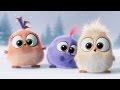 Angry Birds вітають зі Святами!