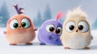 Angry Birds вітають зі Святами! Angry Birds вітають зі Святами!