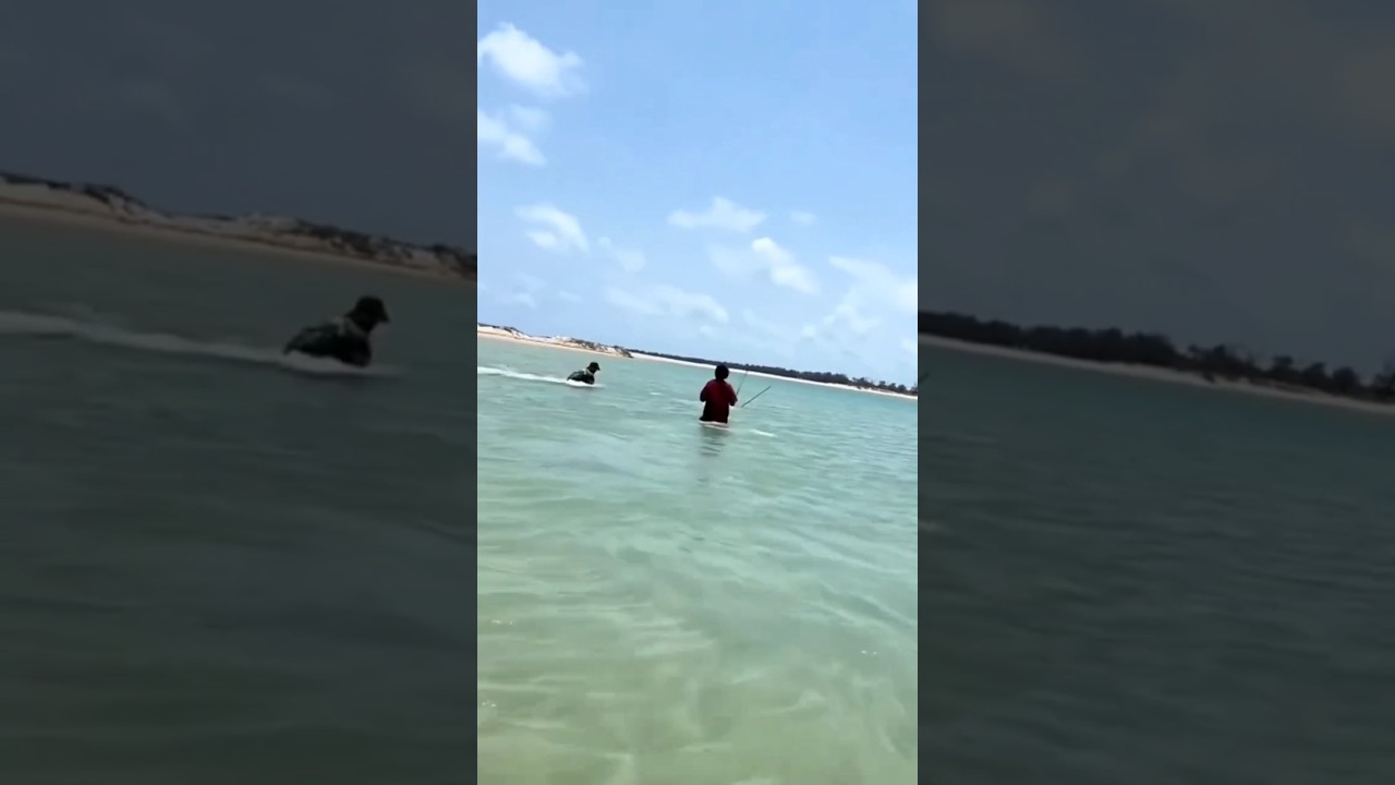 Amazing stick fishing