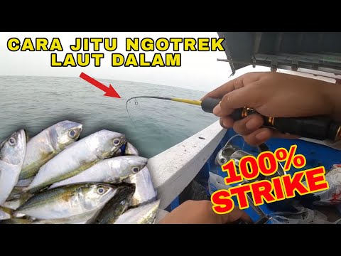 Cara Mengundang Ikan Di Laut