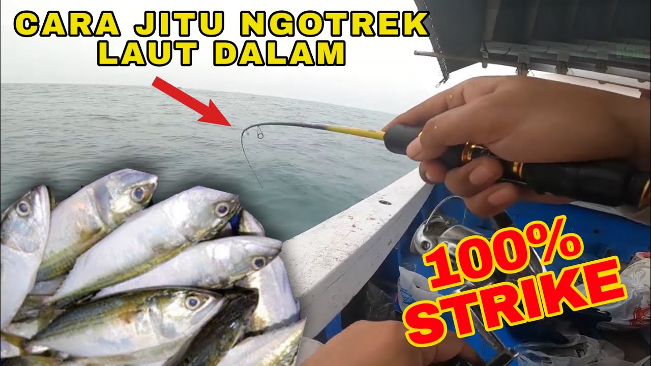 Cara Ngotrek Di Laut Dalam. Cocok Buat Cari Umpan Hidup