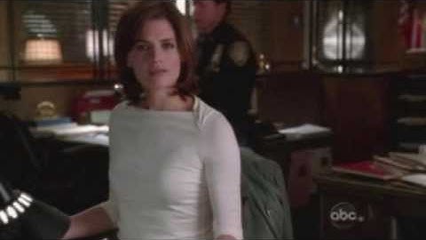 Kate Beckett Video: Heroes of the Sidewalk