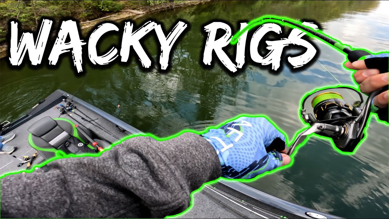 Springtime WACKY RIGS for Bass – Blue Marsh Lake - YouTube