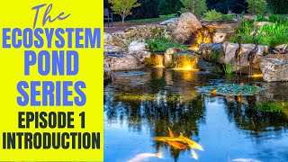 Understanding Ecosystem Pond Basics | Ecosystem Pond Series 1!