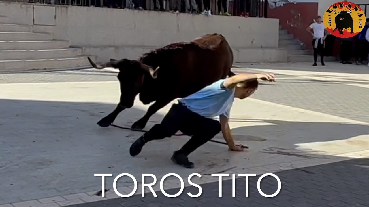 Arañuel 2025 Hnos Navarre