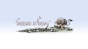 "Welcome to my channel video"  (Attempt 2)