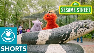 Sesame Street: Murray Goes To The Zoo