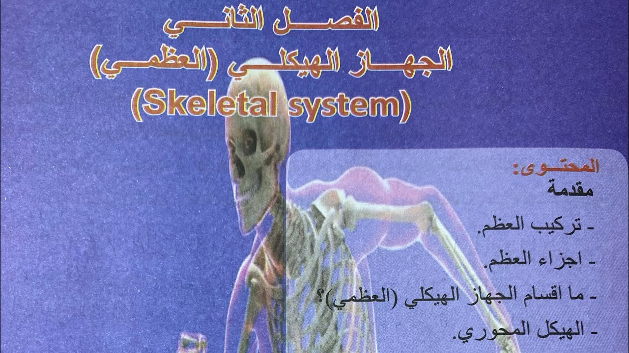 احياء الثالث المتوسط 2026 /الفصل الثاني /الجهاز الهيكلي (العظمي) / المحاضرة 2