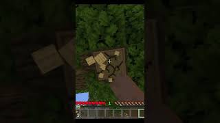 Minecraft Copy Block Crazy😁