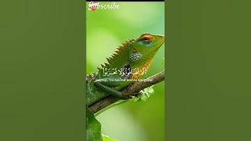 #quran #الشيخ #قناة_القارىء_اسلام_صبحي #القران_الكريم #ayat_آيات #القارىء_اسلام_صبحي #اكسبلور #لايك