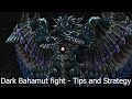 Final Fantasy X - Dark Bahamut fight with tips