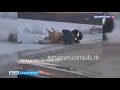 Сбитую лошадь разделали на мясо прямо на дороге в Башкирии – видео