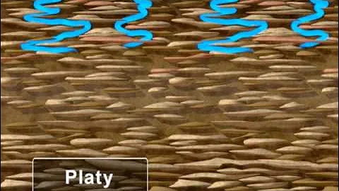 Water Movement in Soil