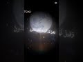 القرآن العظيم ربيع القلب القرآن العظيم ربيع القلب