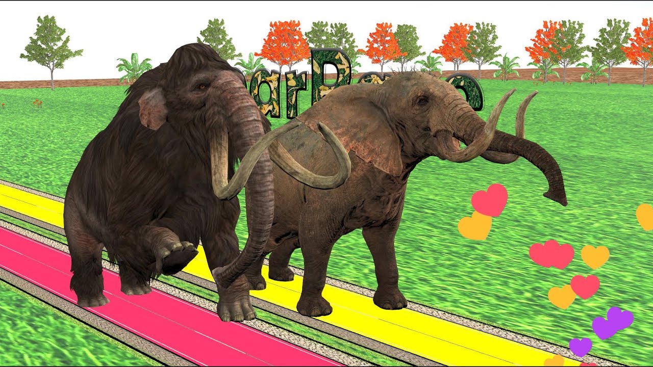 Wild Animal Race, Elephant vs Mammoth, Animal Race Challenge YouTube