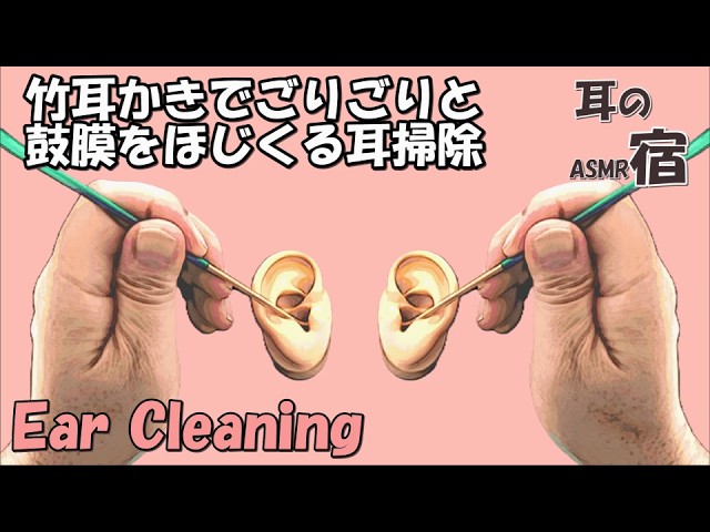 【ASMR】竹耳かきでごりごりと鼓膜をほじくる耳掃除 Ear cleaning【No Talking】